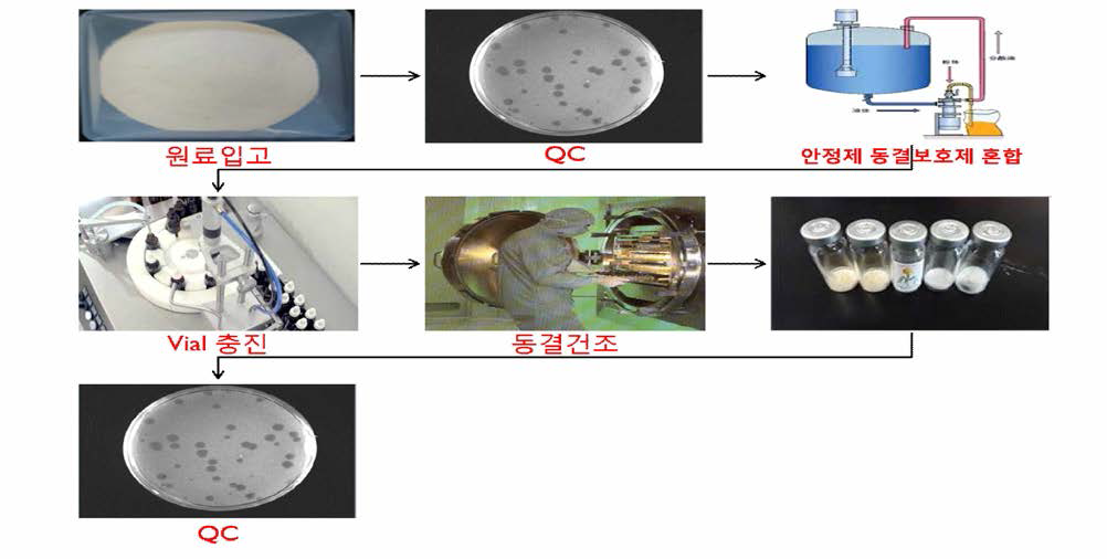 Vial 제조 공정도