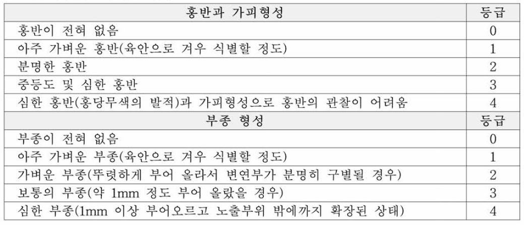 피부반응의 평가 등급표