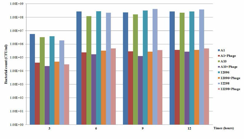 특이 박테리오파지 처리에 의한 배양 시간별 살모넬라 생장 억제