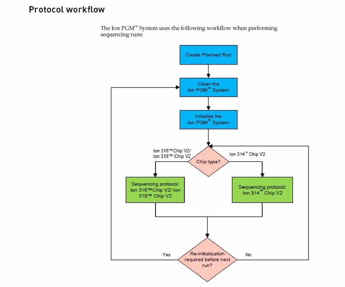 세균 균총 분석을 위한 Ion PGM System NGS의 실험 흐름도