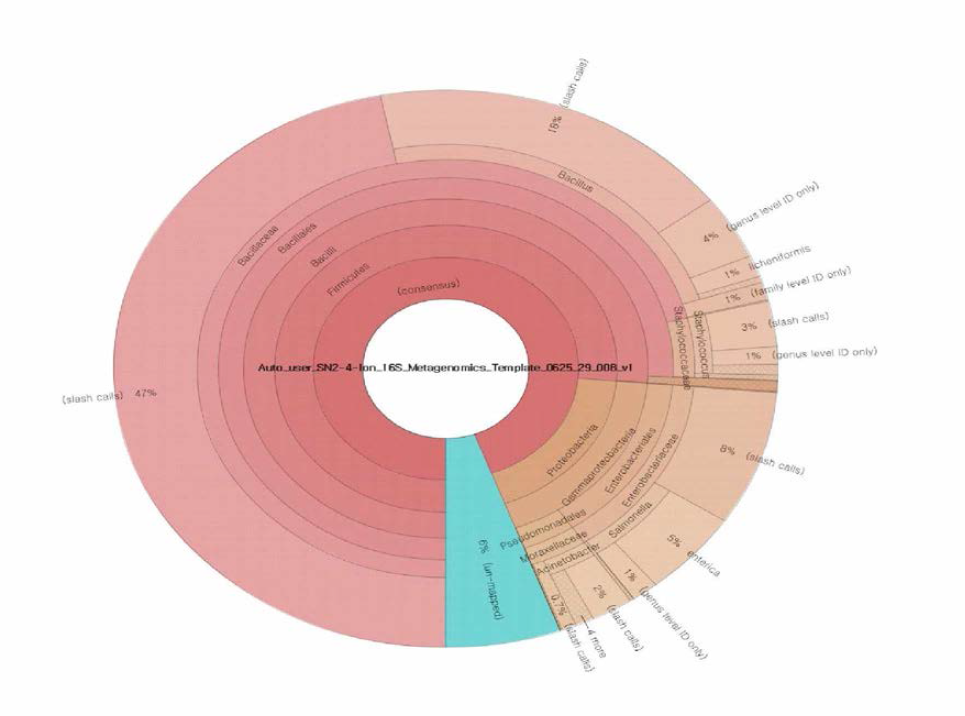 16S rRNA gene을 이용한 분석 결과