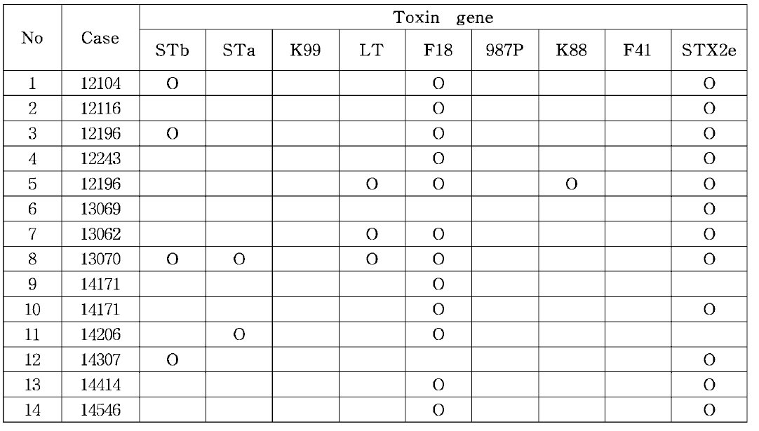 부종병 대장균의 독소 유전자 검사