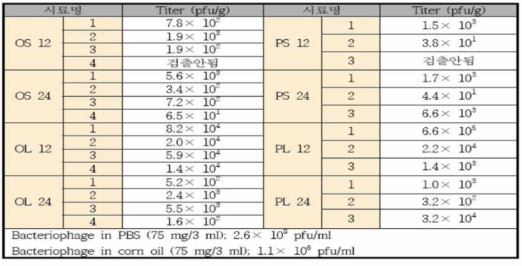 옥수수유 코팅 박테리오파지의 역가 측정