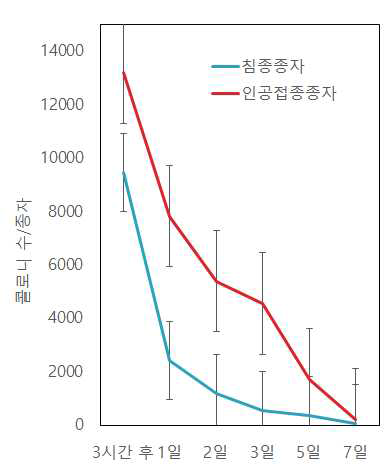 접종종자 내에서의 병원세균 생존기간