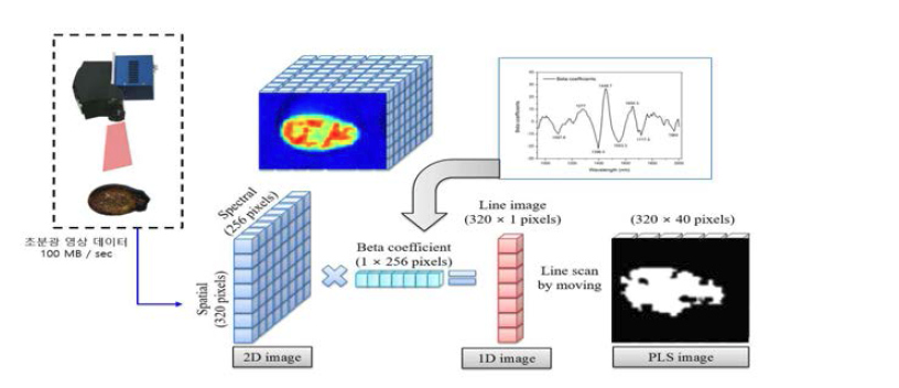 실시간 초분광 영상처리 과정