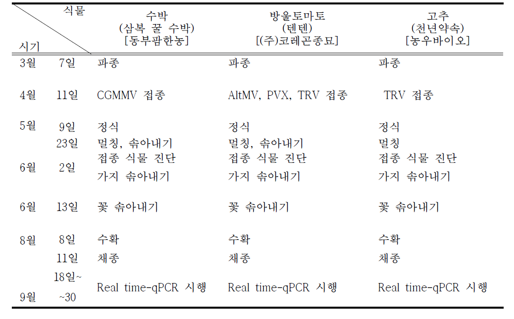 바이러스 감염 종자 채종을 위한 식물 관리 일정