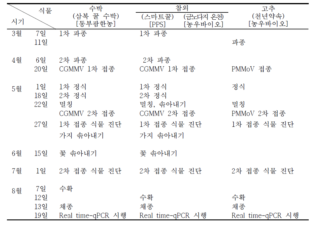 바이러스 감염 종자 채종을 위한 식물 관리 일정