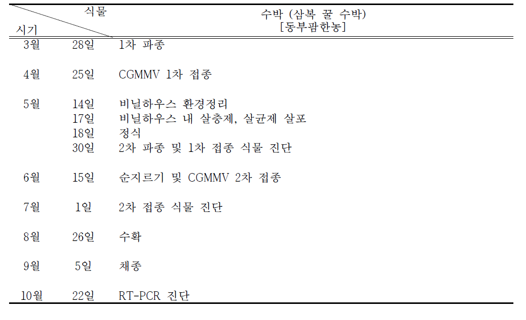 바이러스 감염 종자 채종을 위한 식물 관리 일정