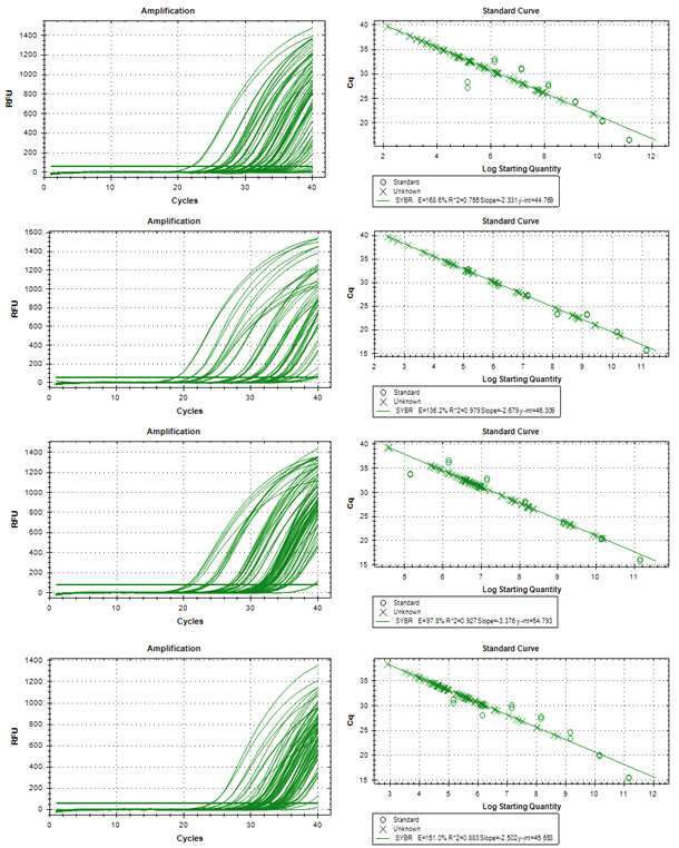 Q-RT-PCR을 이용한 참외종자(Raman spectroscopy & Raman 초분광 시스템 측정) 바이러스 copy수 측정