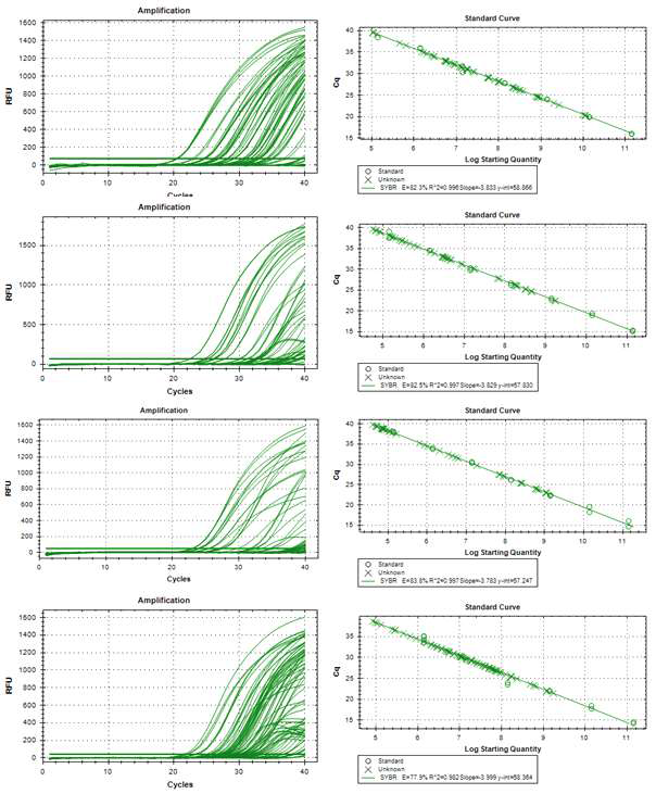 Q-RT-PCR을 이용한 수박종자(Raman spectroscopy & Raman 초분광 시스템 측정) 바이러스 copy수 측정