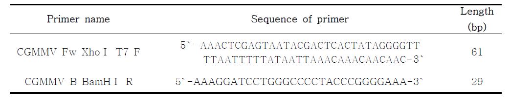 CGMMV infectious clone 제작에 사용된 프라이머