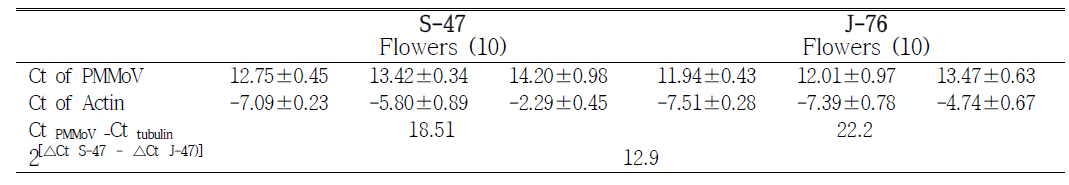 Real-time qPCR comparison of levels of PMMoV isolates S-47 and J-76 in flowers of C. annuum