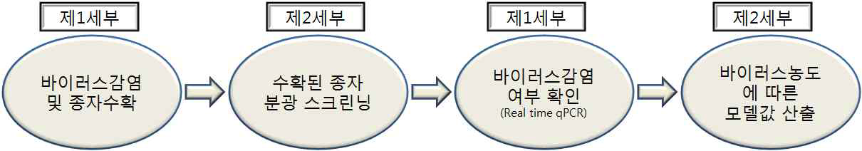 바이러스 종자의 선별 방식