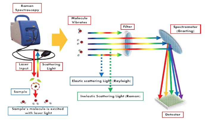 Raman spectroscopy의 원리