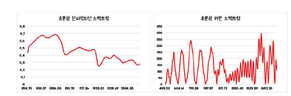 초분광 융합(단파적외선 + 라만)스펙트럼 시스템