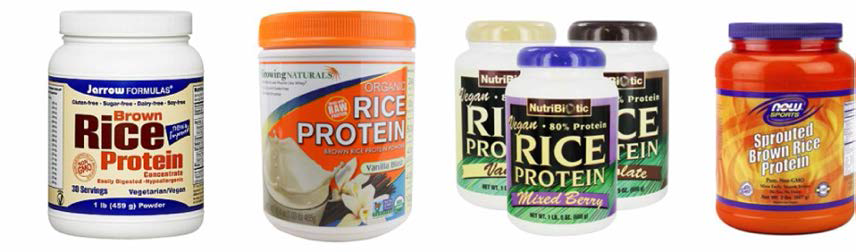 미국시장에서 판매중인 Rice Protein 제품