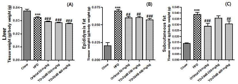 Inhibitory effects of YD-204B on body fat percentage in mice fed high-fat diet for 8 weeks