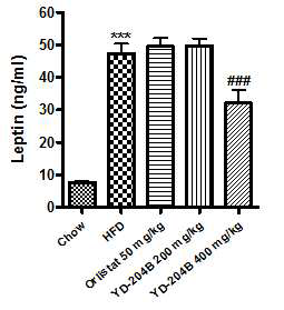 Effects of YD-204B on serum leptin in mice fed high-fat diet for 8 weeks