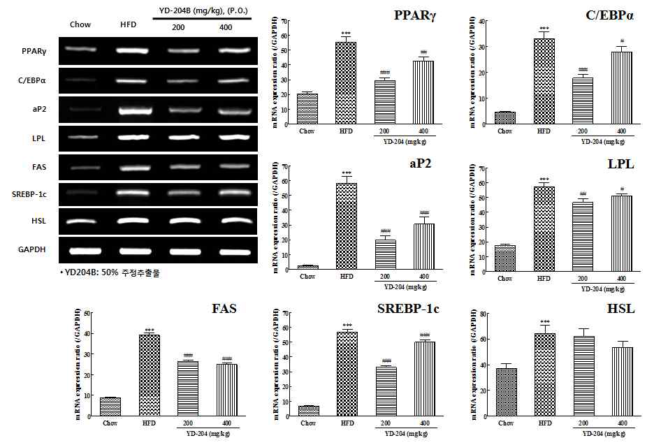 Effects of YD-204B on the mRNA expression of transcriptional factors and adipocytes-specific genes in epididymal adipose tissue of hight-fat diet mice