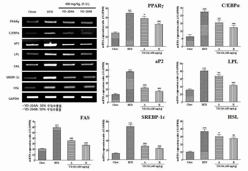 Effects of YD-204B on the mRNA expression of transcriptional factors and adipocytes-specific genes in subcutaneous adipose tissue of hight-fat diet mice