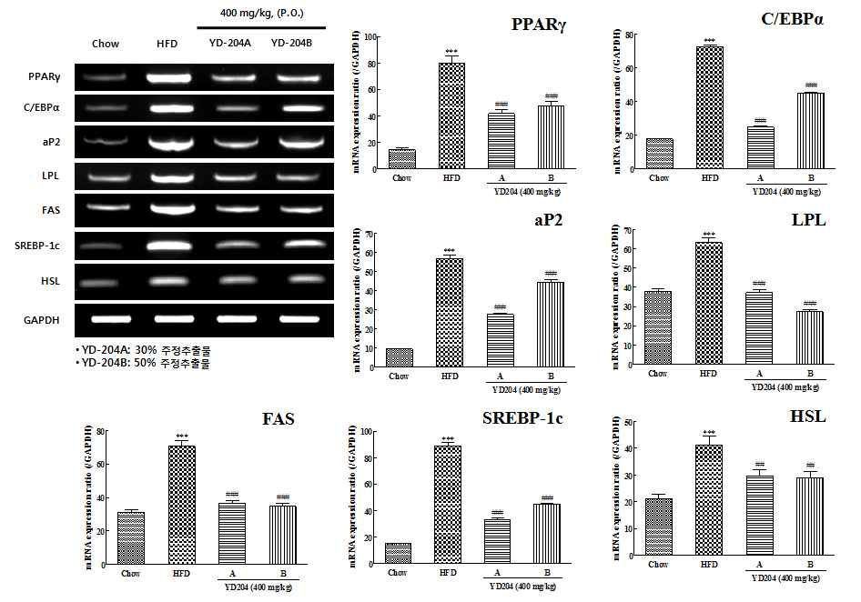 Effects of YD-204B on the mRNA expression of transcriptional factors and adipocytes-specific genes in epididymal adipose tissue of hight-fat diet mice
