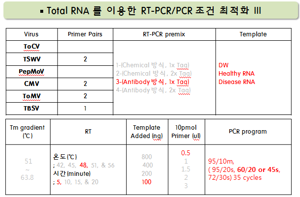 RT-PCR 및 PCR 진단 kit 제작을 위한 최적조건.