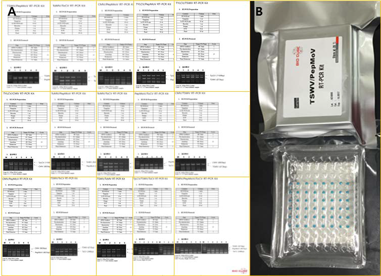 2차 시제품 사용설명서(A) 및 duplex RT-PCR Kit 대표그림(B).