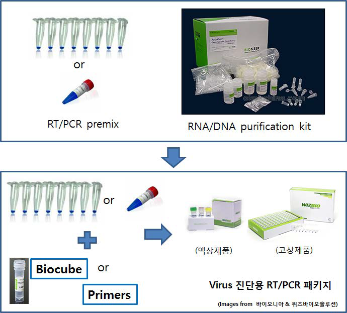 RT/PCR/Biocube package 제품 개념도.