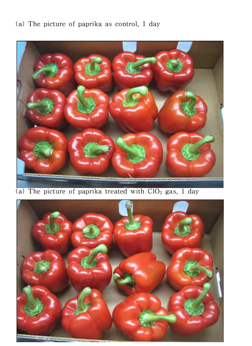 The appearance of paprika treated without or with ClO2 gas on storage at 8°C, RH 60%