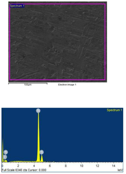 Test results were determined by qualitative analysis(SEM-EDS).