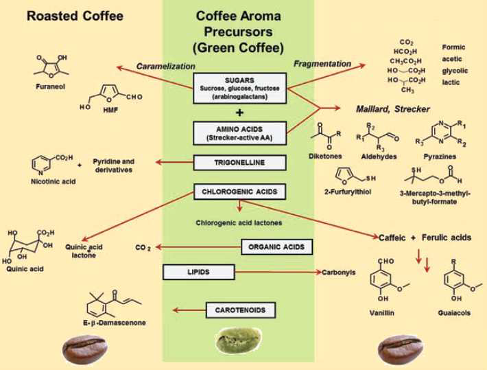 커피 로스팅의 원리