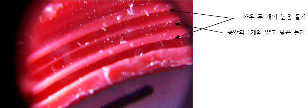 캡슐머신의 종형부재와 밀봉구조 형성을 위한 플랜지형림(rim)개발
