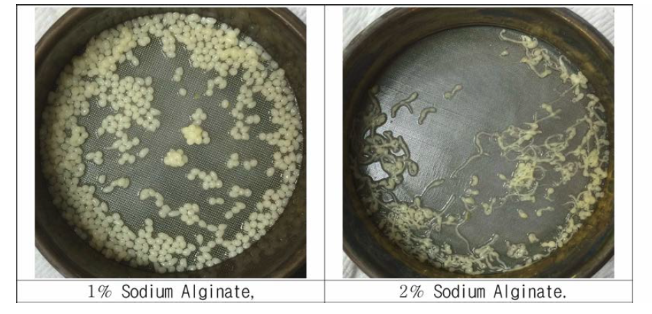 Morphology of bead with Sodium Alginate Concentration,