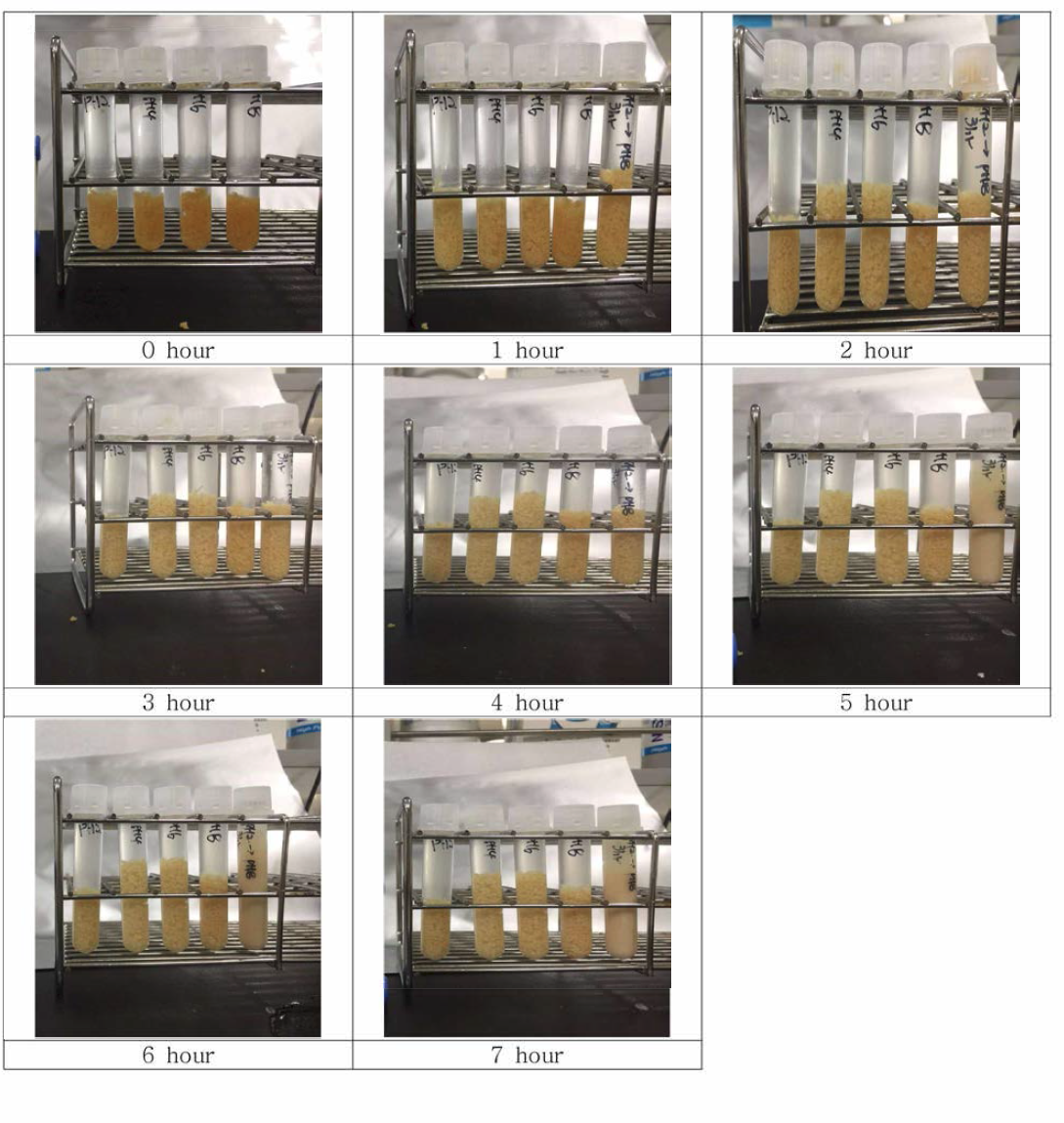 modification of Chitosan—Sodium Alginate beads in simulated gastric fluid/simulated intestinal fluid buffer