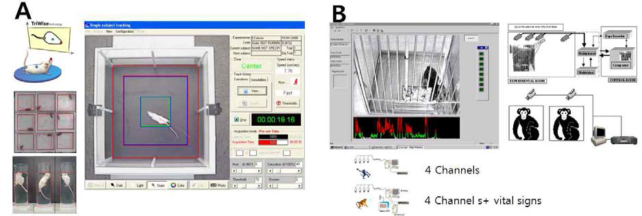 (A) SMART video tracking system 장비와 (B) Vigie Primate (View point) 장비