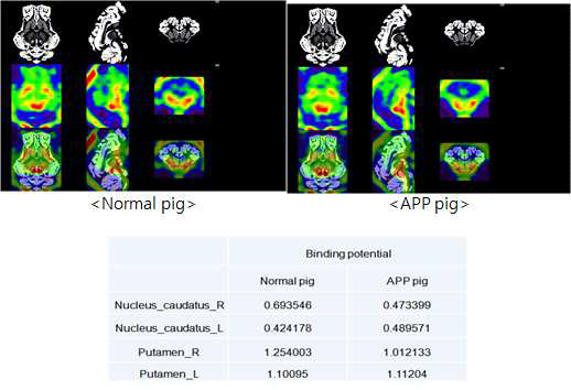 1년령 hAPP 유전자 조절 미니돼지와 정상미니돼지의 F-CIT 주입후의 뇌 PET 이미지의 비교 및 binding potential의 정량.