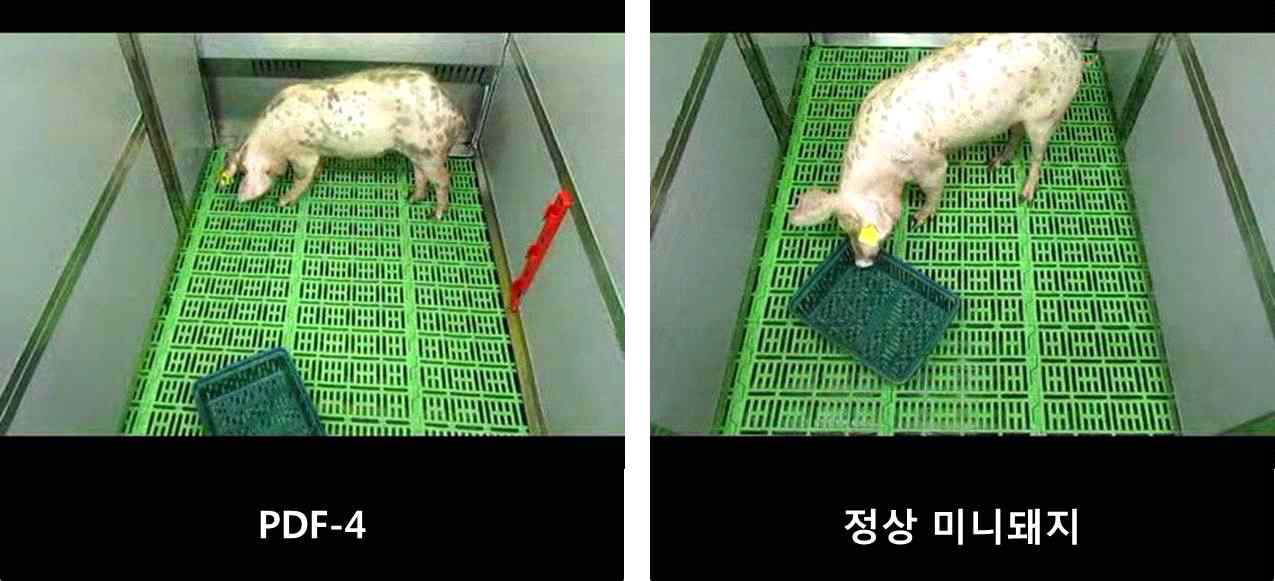 새로운 물건에 대한 호기심