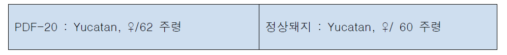 CT, MRI 촬영에 사용된 hSNCA 복제돼지의 주령