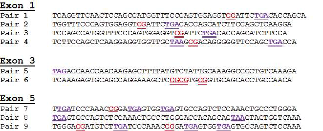 제작된 Park2 유전자가위 target sequence list.