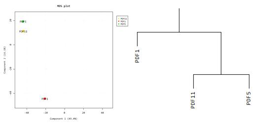 각 sample Transcriptome 간의 유사성 조사.