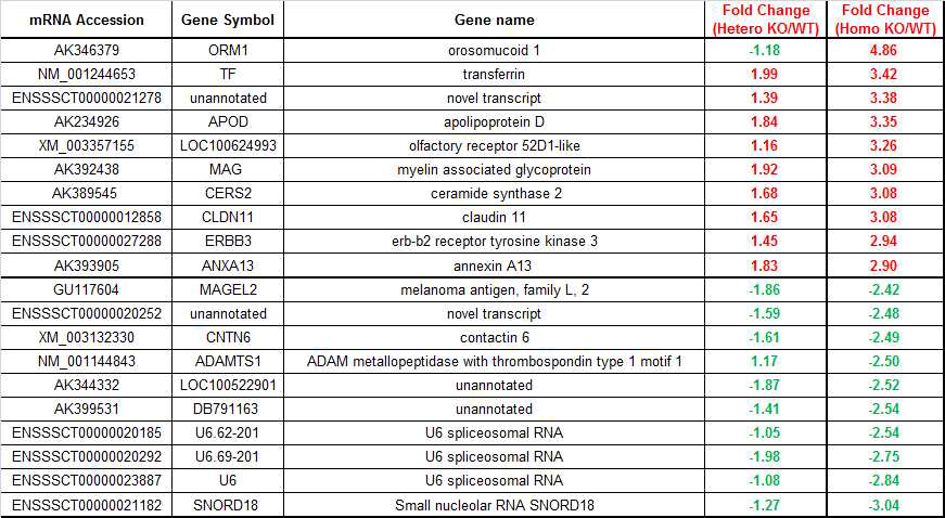 PARK2 유전자 Homo KO에 의해 조절된 유전자 리스트
