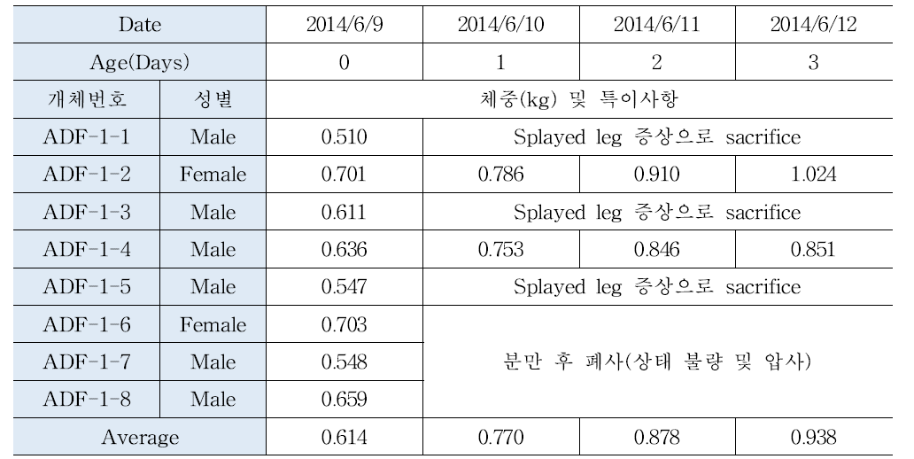 APP 유전자 조절 미니돼지 자돈의 상태