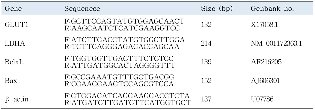 배반포에서 발현되는 유전자 패턴 연구에 사용한 primer