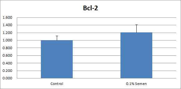 Expression level of Bcl-2 in both groups