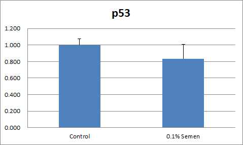 Expression level of p53 in both groups.