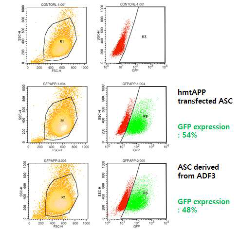 Flow cytometry를 이용한 ADF3 유래의 성체 세포주에서 GFP 발현.
