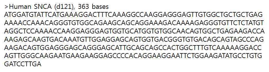 인간 SNCA (d121)의 유전자 염기 서열.