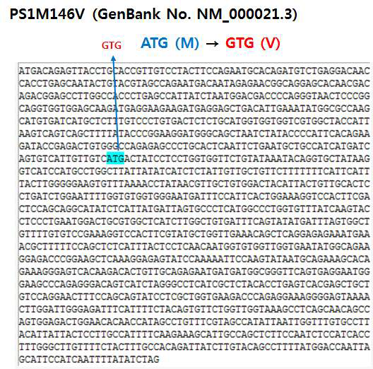 human PS1M146V mutation 염기서열.