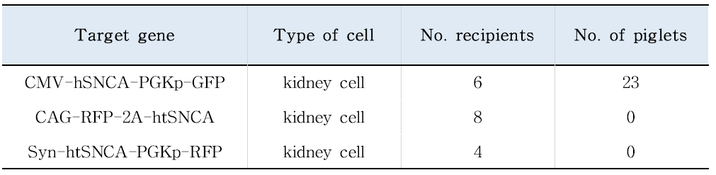 hSNCA 발현 형질전환 복제돼지 생산