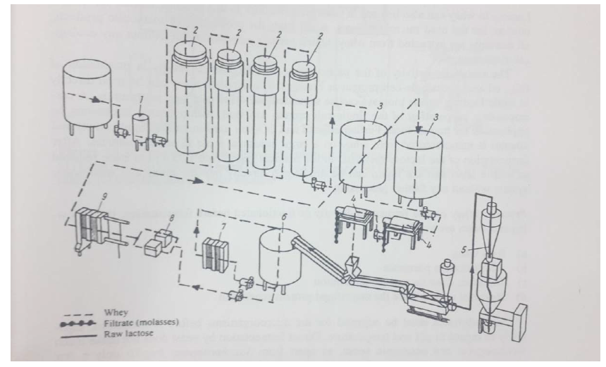탈단백 유청으로 부터 유당을 제조하는 공정 개요